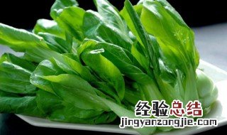 瓢儿菜种植方法 瓢儿菜种植方法介绍