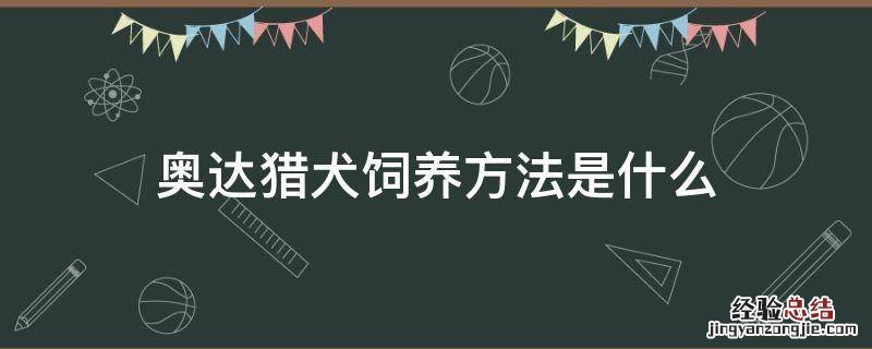 奥达猎犬饲养方法是什么