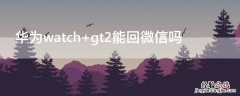 华为watchgt3pro功能介绍 华为watch