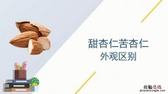 银杏和杏仁有什么区别