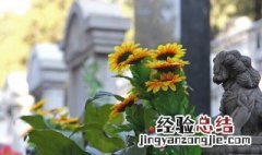 人死在家里有什么讲究 家里死人有啥讲究