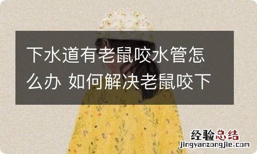 下水道有老鼠咬水管怎么办 如何解决老鼠咬下水管道