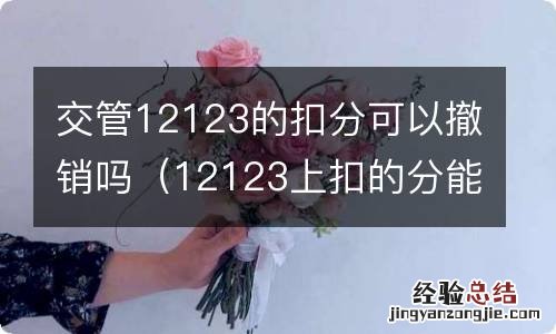 12123上扣的分能撤销吗 交管12123的扣分可以撤销吗