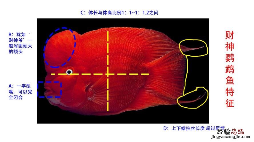 四大才子是什么生肖