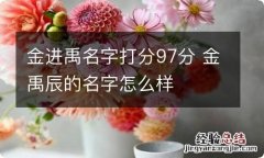 金进禹名字打分97分 金禹辰的名字怎么样