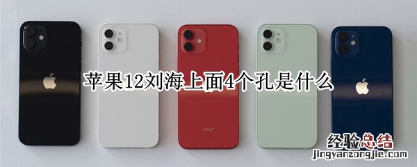 苹果12刘海上面4个孔是什么