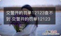 交警开的罚单12123查不到 交警开的罚单12123查不到怎么缴费