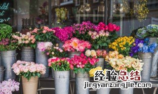 高的花瓶适合养什么花 高花瓶养什么花好看