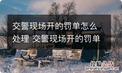 交警现场开的罚单怎么处理 交警现场开的罚单怎么处理网上能查到吗