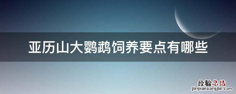 亚历山大鹦鹉饲养要点有哪些