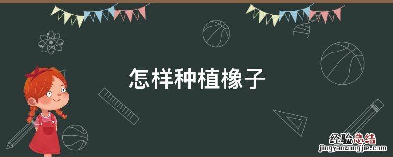 怎样种植橡子