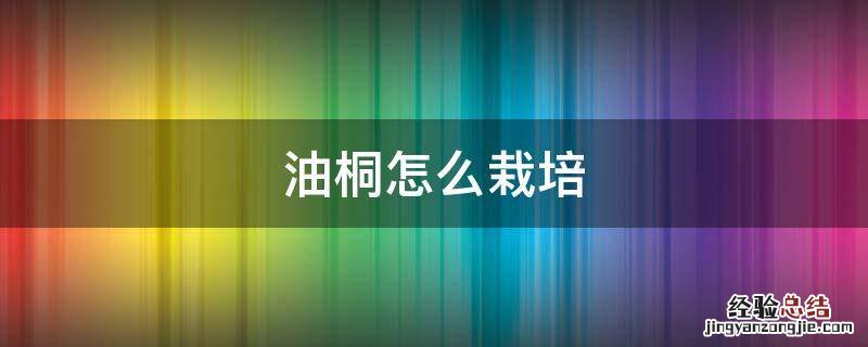 油桐怎么栽培