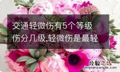 交通轻微伤有5个等级 伤分几级,轻微伤是最轻的吗