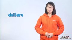 dollars是什么意思