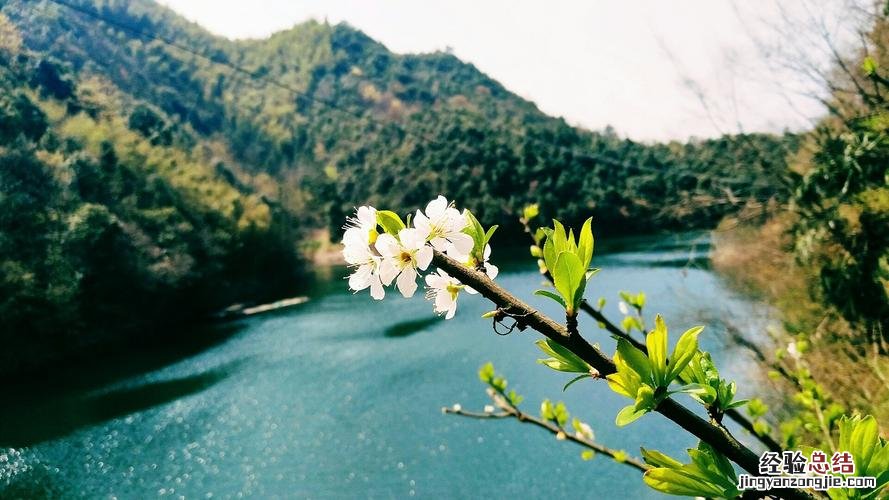 宁国有哪些旅游景点