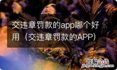 交违章罚款的APP 交违章罚款的app哪个好用