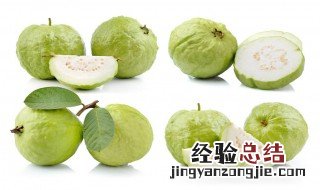 怀孕可以吃番石榴吗 怀孕可以吃番石榴吗图片