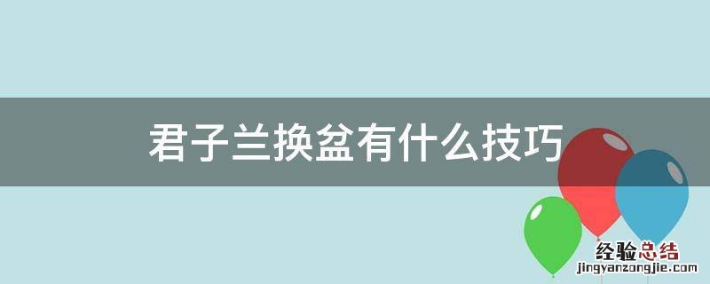 君子兰换盆有什么技巧