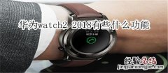 华为watch2 2018有些什么功能