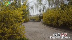 山东师范大学地址在哪里