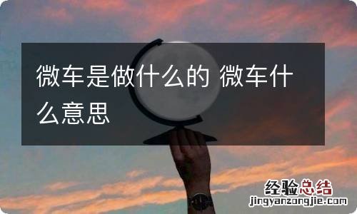 微车是做什么的 微车什么意思