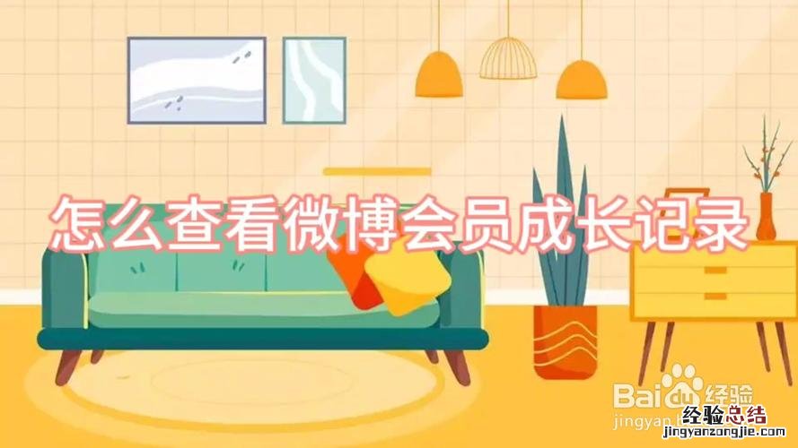 新浪微博会员能看到访客记录吗