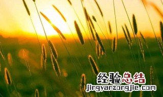 珍惜自己的句子 珍惜自己的句子有哪些