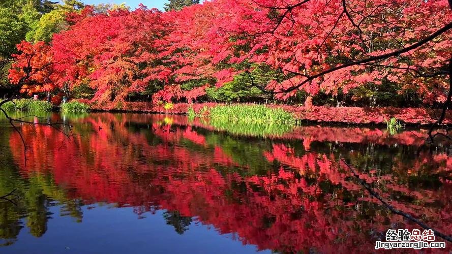 10月份的日本哪里最美