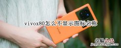 vivox80怎么不显示图标名称 vivo桌面不显示图标