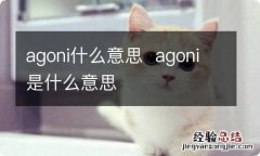 agoni什么意思agoni是什么意思