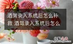 酒驾录入系统后怎么补救 酒驾录入系统后怎么补救 驾驶证