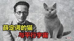 薛定谔的猫说明什么