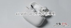 airpods pro序列号在哪里