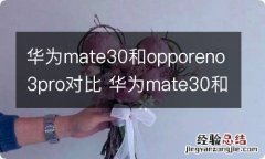 华为mate30和opporeno3pro对比 华为mate30和opporeno3pro的不同