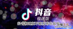 抖音极速版不能发布作品吗