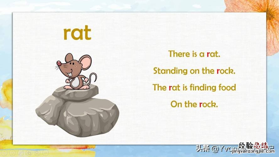 rabbit是什么意思