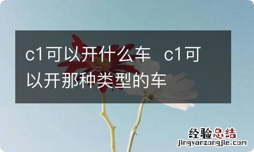 c1可以开什么车c1可以开那种类型的车