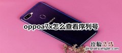 oppoa7x怎么查看序列号