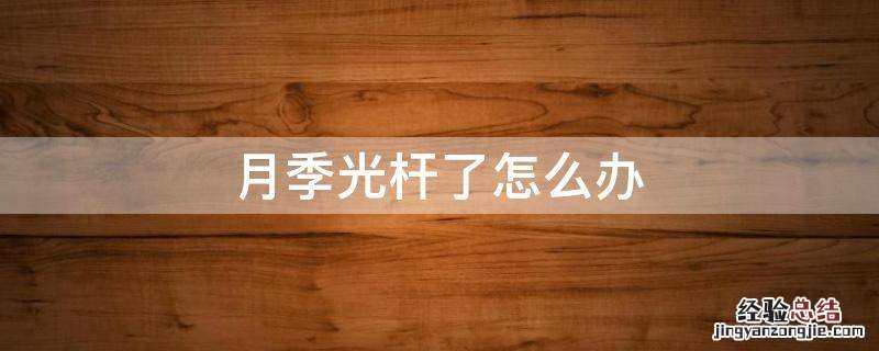 月季光杆了怎么办