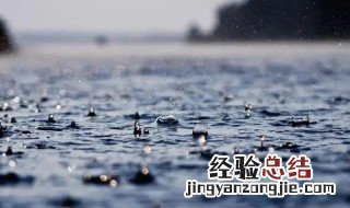 下雨天不怕雨淋是什么动物 不怕淋雨的动物