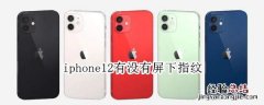 iphone12有没有屏下指纹