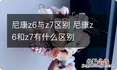 尼康z6与z7区别 尼康z6和z7有什么区别