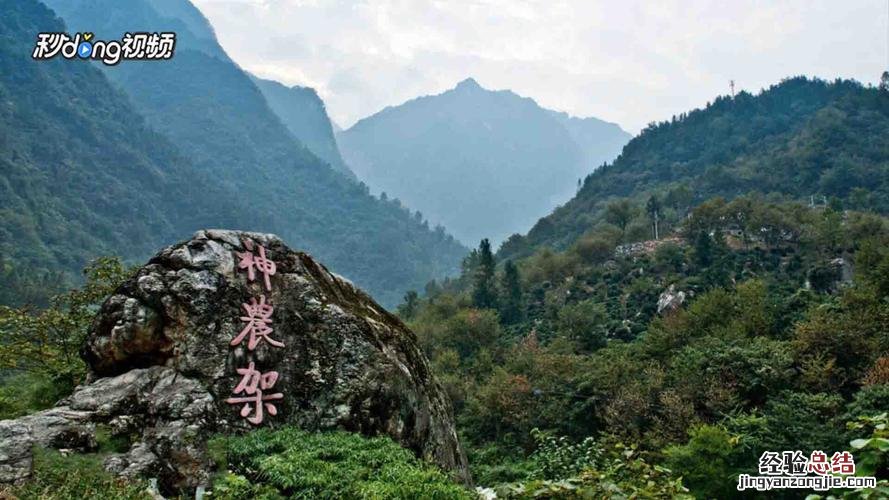 神农架通票包括哪些景点