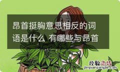 昂首挺胸意思相反的词语是什么 有哪些与昂首挺胸意思相反的词语