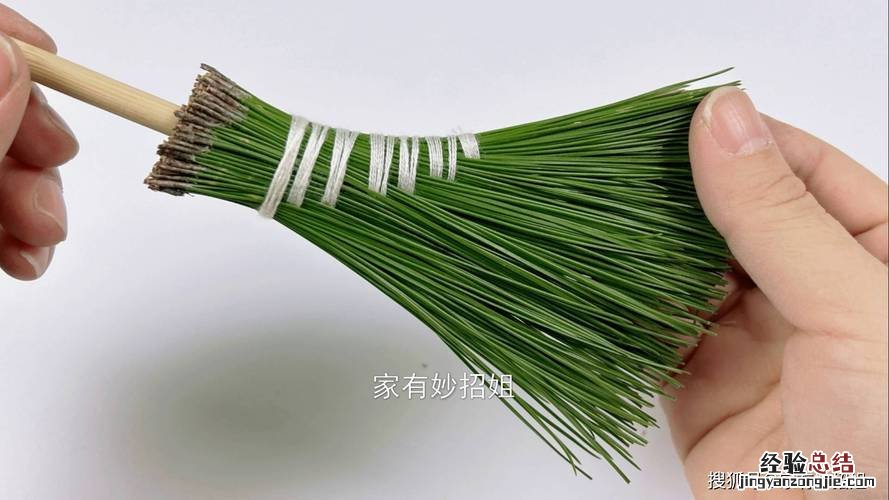 土壤板结别担心,捡点“松针”用上,养分足啥花都能旺!