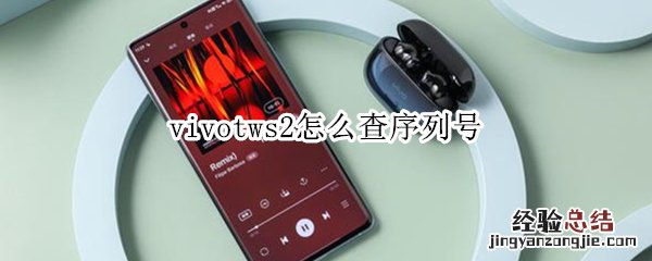 vivotws2怎么查序列号