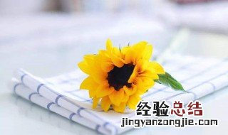 个性签名简短女生气质 个性签名女生气质简短的句子有哪些
