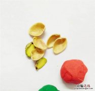 怎么用开心果壳制作漂亮的花儿