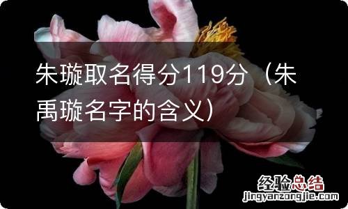 朱禹璇名字的含义 朱璇取名得分119分