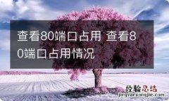 查看80端口占用 查看80端口占用情况